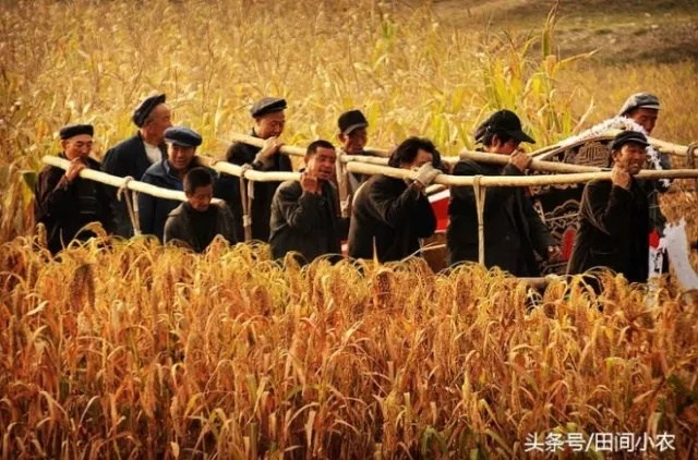 农村丧葬习俗:棺材重1.2吨需16人抬,扶灵者称见棺发财 第1张