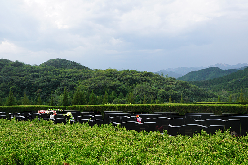 墓地环境 墓地环境