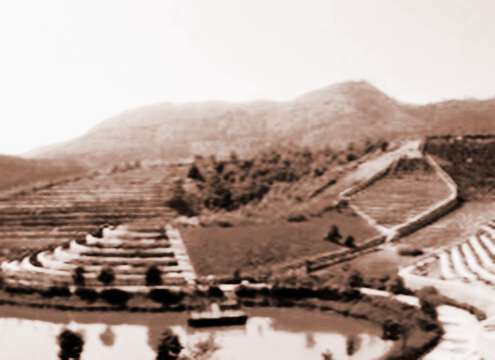 必看的墓地风水禁忌大全 第1张