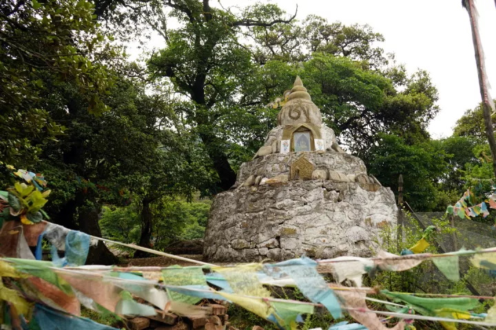 1535614296305224.jpg 1.jpg