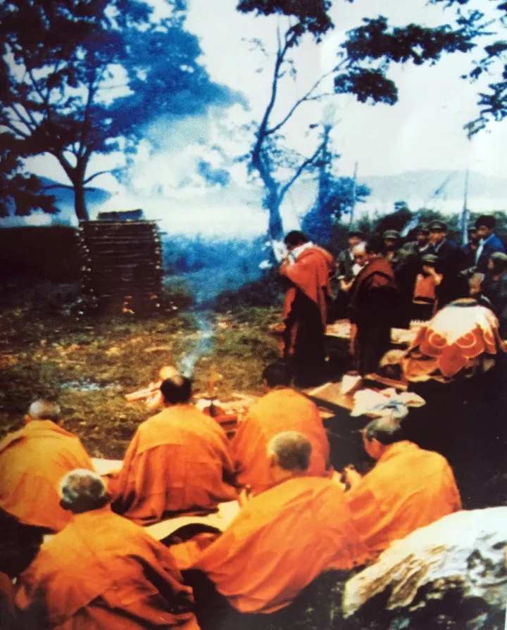 1535614391131440.jpg 4.jpg