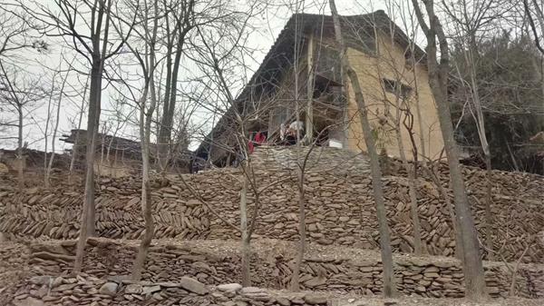 1535968536117037.jpg 7.jpg