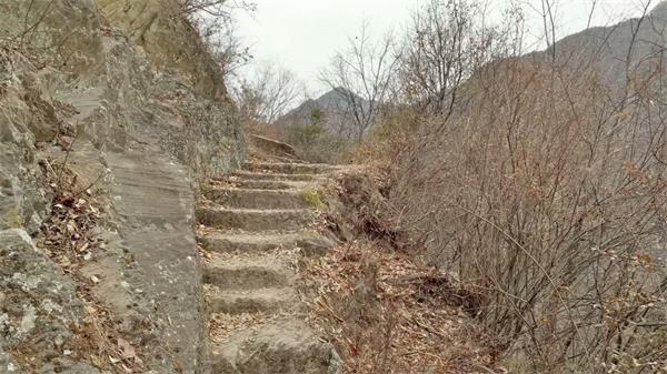 1535968549423604.jpg 9.jpg