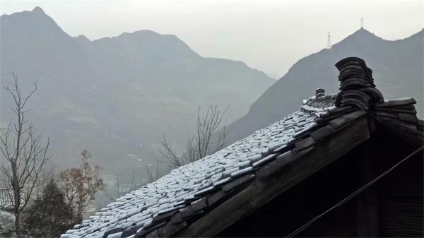 1535968556827802.jpg 10.jpg