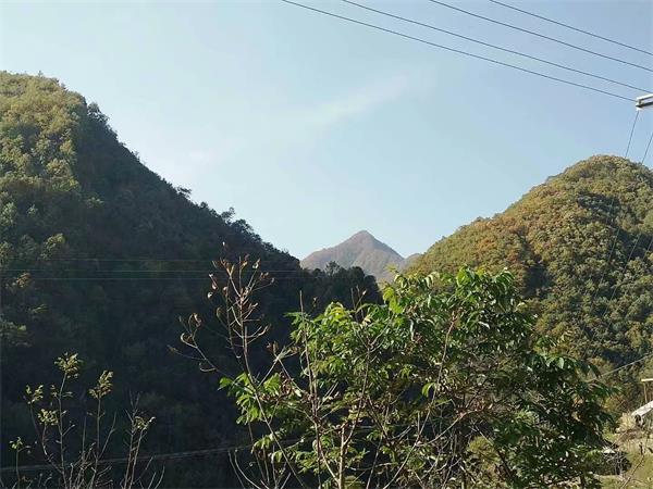 1535968562106202.jpg 11.jpg