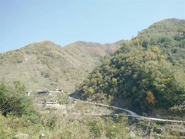 1535968590857666.jpg 13.jpg